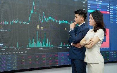 VN-Index có thể còn kiểm định đáy, nhà đầu tư chưa nên vội bắt đáy
