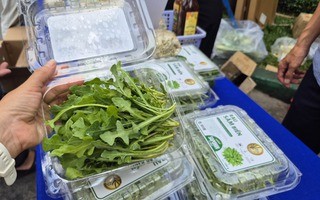 Bất ngờ về loại rau 350.000 đồng/kg vẫn được người ở TPHCM xem là “rẻ”