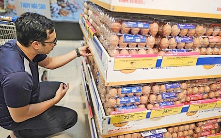 Giá trứng gà tăng trở lại, nhưng người chăn nuôi vẫn đang lỗ