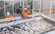 ‘Hành trình ngược’ của vỏ bao bì