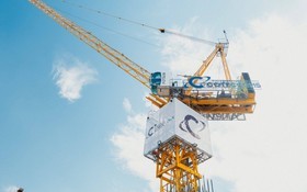 Coteccons dự chi gần 280 tỷ đồng trả cổ tức tiền mặt