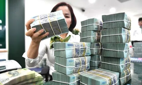 Những ngân hàng tư nhân nào đang dẫn đầu về nộp ngân sách?