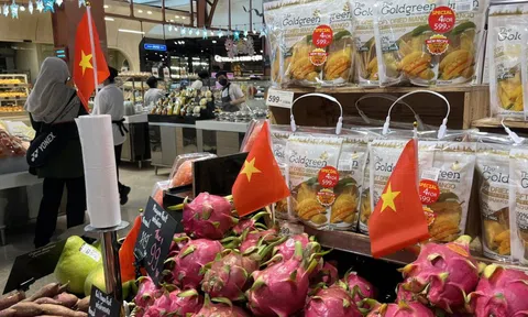 Mô hình 'thương hiệu ô dù' cho nông sản Việt