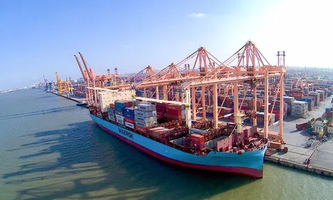 Một lãnh đạo Viconship giảm tỉ lệ sở hữu còn 0,16%