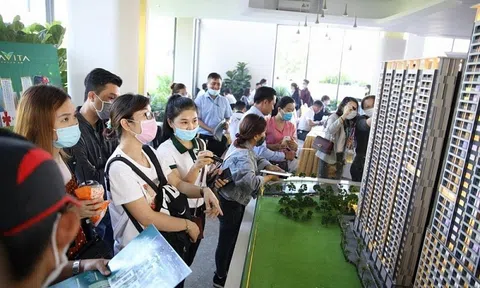Nên đánh thuế để giảm đầu cơ thay vì bắt buộc giao dịch qua sàn bất động sản Nhà nước