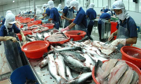 Xuất khẩu nông sản 'lật ngược thế cờ' đạt kim ngạch xuất khẩu tới 70 tỉ USD ra sao?