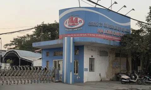 Highlands Coffee nói gì về nghi vấn dùng sản phẩm của Đồ hộp Hạ Long?