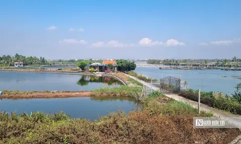 Tích cực giải quyết vướng mắc GPMB tại dự án Hạ Long Xanh