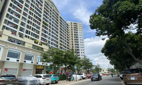 Minh bạch, chuẩn hóa hoạt động nhà chung cư