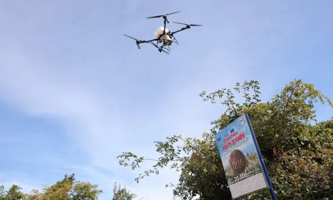 Mang ‘lộc xanh’ đến Vườn quốc gia Núi Chúa - Phước Bình