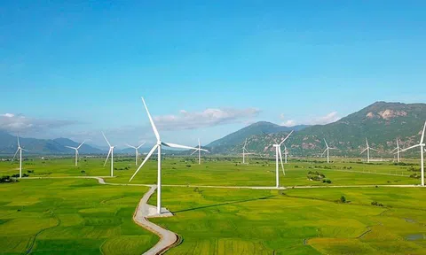 Điện Gia Lai nợ hơn 8 nghìn tỷ đồng