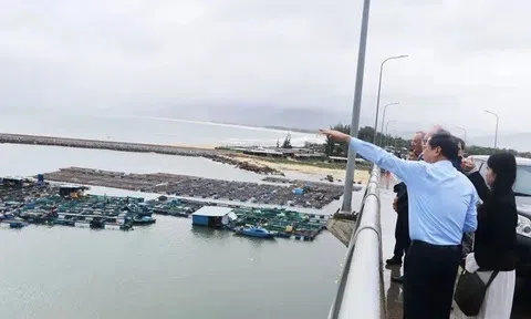 Gia Lai mạnh tay chặn gom đất trái phép quanh dự án năng lượng