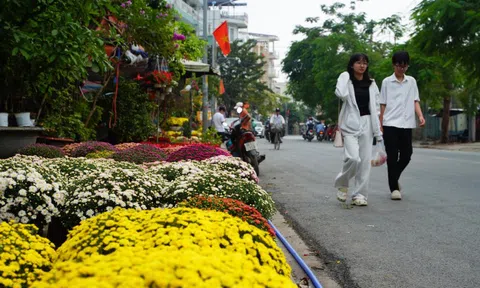 Hoa Tết nở sớm, nhiều điểm bán lẻ đã 'họp chợ' giữa tháng chạp