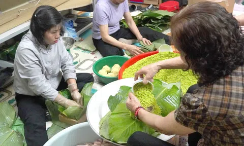 Hương cốm Mễ Trì trong bánh chưng Tết