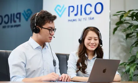 Nợ phải trả của Bảo hiểm Petrolimex (PJICO) chiếm hơn 78% vốn