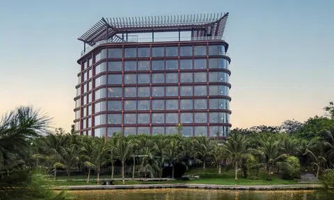 OCH thực hiện vượt kế hoạch doanh thu và lợi nhuận năm 2025