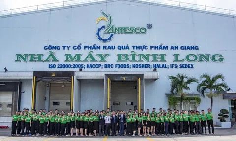 Antesco bất ngờ lấy ý kiến cổ đông