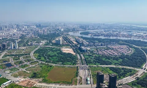 Đại Quang Minh đề xuất lập quy hoạch TOD dọc metro số 2, đường sắt nối sân bay Long Thành