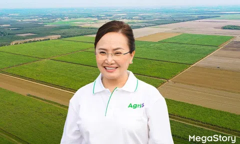 Từ túi ong mắt đỏ đến bài toán 'cửa thắng' cho nông nghiệp Việt trên sân chơi toàn cầu