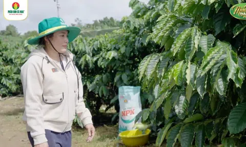 'Nét Đẹp Mùa Vàng Thắng Lớn': livestream đặc biệt tôn vinh chị em nhà nông