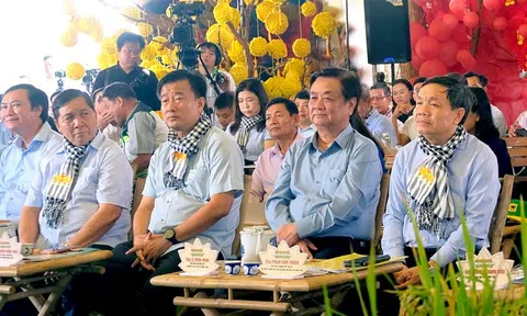 Giữa ruộng hoa bàn chuyện người 'nông dân chuyên nghiệp'