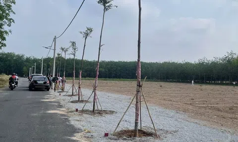 HoREA: Đề xuất bổ sung cơ chế xử lý “lối đi chung” khi hợp thửa đất tại Tp.HCM