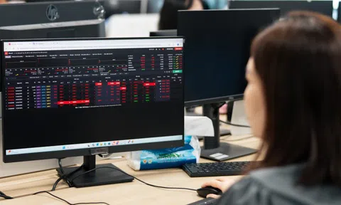 Cổ phiếu dầu khí 'gãy sóng', GAS, GVR, PLX đồng loạt nằm sàn