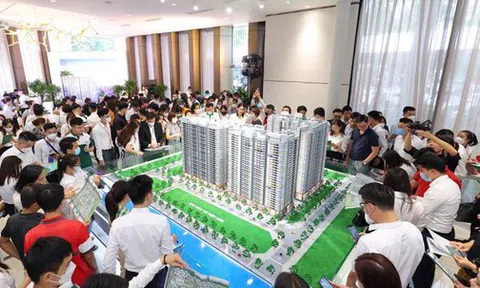 Từ 1-3-2026 chính thức cấp mã định danh điện tử bất động sản và người môi giới bất động sản