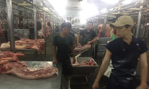 Giá heo hơi hôm nay, 5-3: Tăng mạnh ở chợ đầu mối