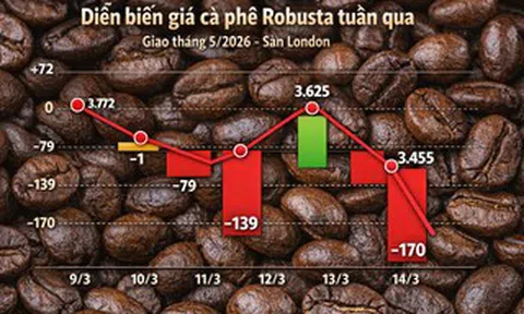 Giá cà phê hôm nay 14-3: Rớt mạnh khi người Mỹ thay đổi thói quen