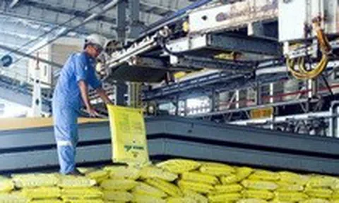 Chủ động nguồn cung để hạn chế tác động từ giá phân bón tăng