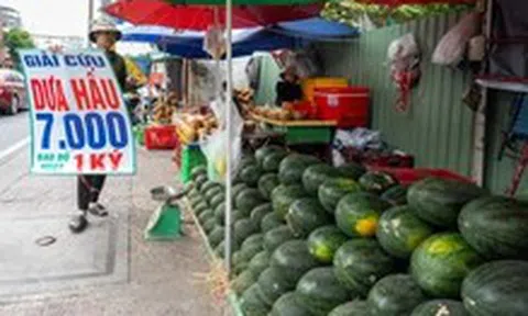 Cam sành, dưa hấu, thanh long, xoài... rớt giá thê thảm, điểm bán đổ thành đống