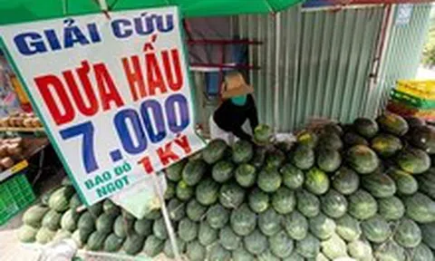 Giá trái cây rớt mạnh, nhiều nơi rao 'giải cứu'