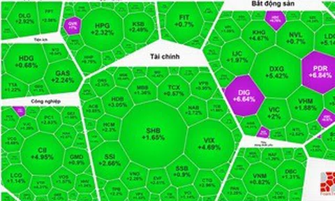 Sóng bất động sản và chứng khoán quay trở lại?