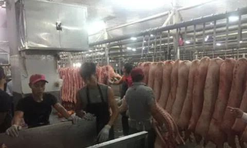 Giá heo hơi hôm nay, 30-3: Chợ đầu mối có giá mới