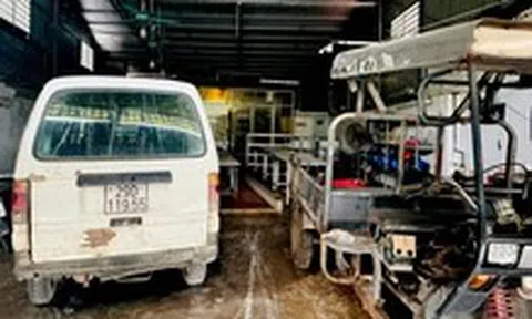 Hồ sơ cung ứng thịt heo của Cường Phát có những gì mà 'qua mắt' được khách hàng?