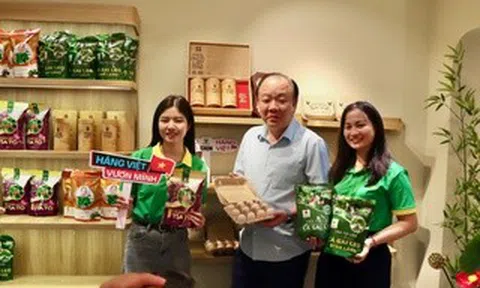 Cơ quan quản lý thị trường sắp livestream: Trứng gà, mắcca… yến sào chờ chốt đơn