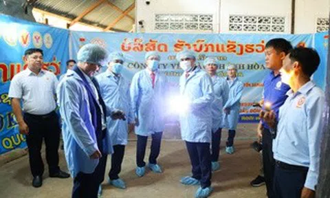 Yến sào Khánh Hòa đẩy mạnh quan hệ hữu nghị và kinh doanh tại Lào