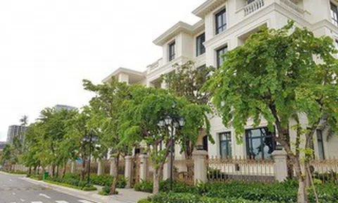 HoREA đề nghị bãi bỏ quy định “phân biệt” doanh nghiệp khi tiếp cận vốn vay