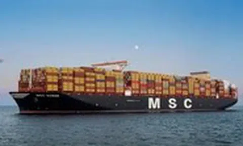 Đã có liên danh nộp hồ sơ đăng ký làm siêu cảng Cần Giờ 5 tỉ USD