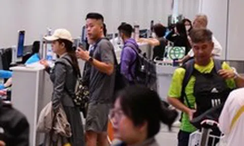 Hãng bay vẫn tăng chuyến dù giá nhiên liệu tăng