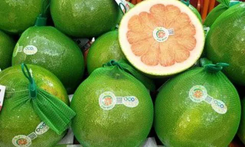 Thêm 2 loại trái cây phổ biến của Việt Nam được xuất chính ngạch sang Trung Quốc