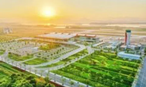 Sếu đầu đàn trong công cuộc chinh phục bầu trời