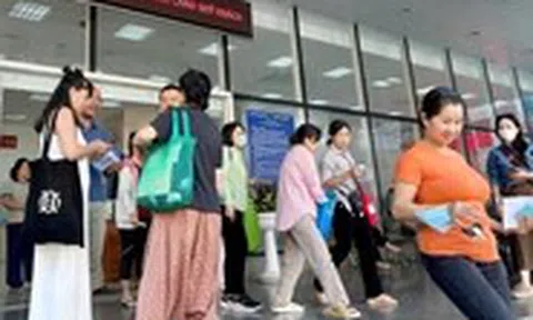 Minh bạch dòng tiền, cơ hội mở rộng kinh doanh cho hộ kinh doanh