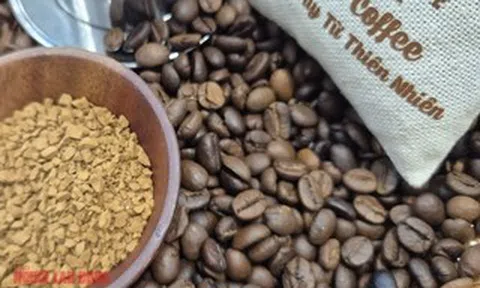 Giá cà phê hôm nay 19-4: Arabica đối mặt áp lực lớn