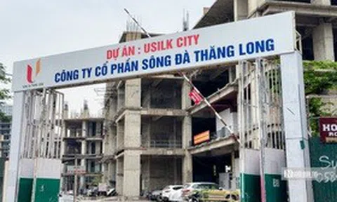 Thanh tra Chính phủ vạch rõ sai phạm tại 23 dự án nhà ở lớn tại Hà Nội