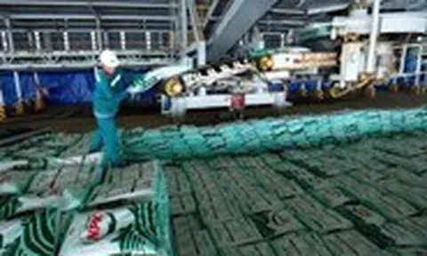 Phân bón Cà Mau hướng tới doanh thu 30.000 tỉ đồng, mở rộng xuất khẩu sang thị trường mới