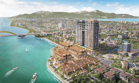 Cù Lao Chàm báo lãi hơn 775 tỷ đồng năm 2025, vốn chủ sở hữu tăng gấp đôi