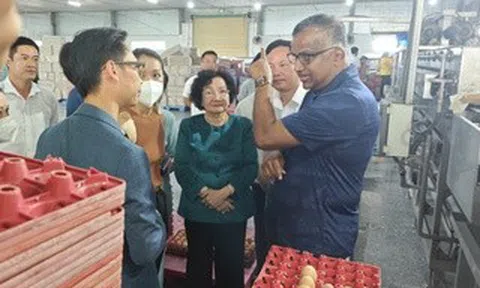 Ba Huân nợ bảo hiểm xã hội kéo dài, rớt khỏi kệ nhiều siêu thị: Tiếc nhưng phải học!