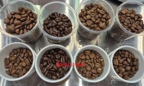 Giá cà phê hôm nay 29-4: Bất ngờ tăng, ông lớn cà phê Trung Quốc khuấy động thị trường